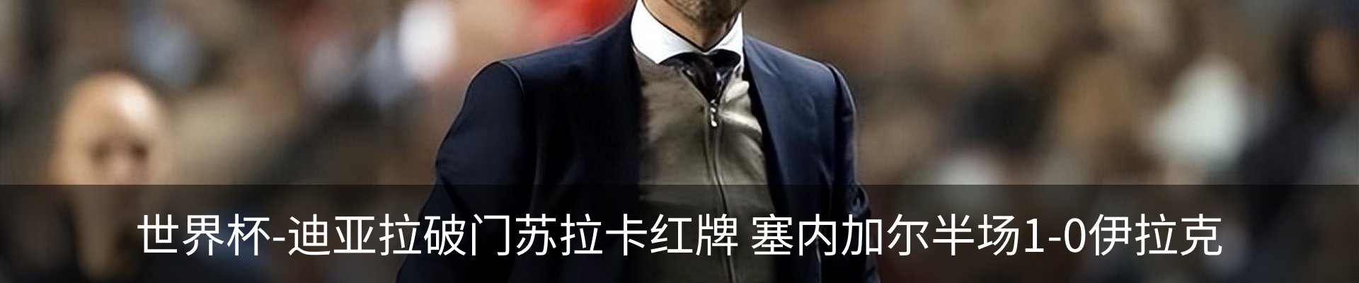 新闻动态