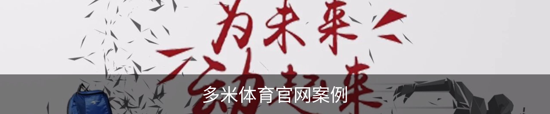 多米体育官网案例