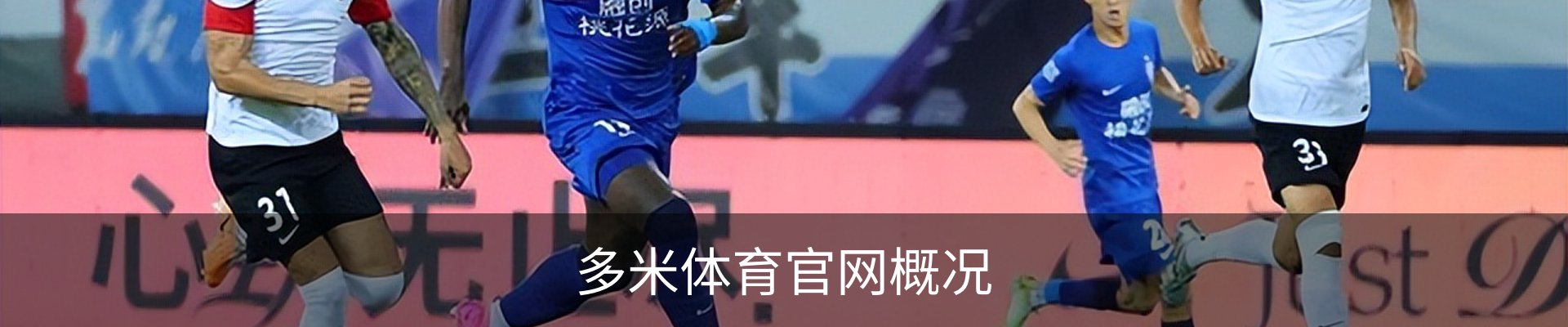 多米体育官网概况