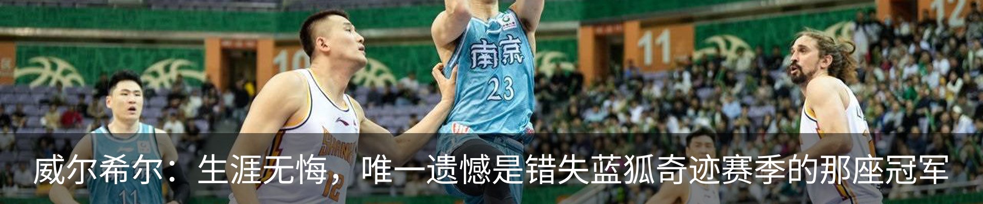 新闻动态