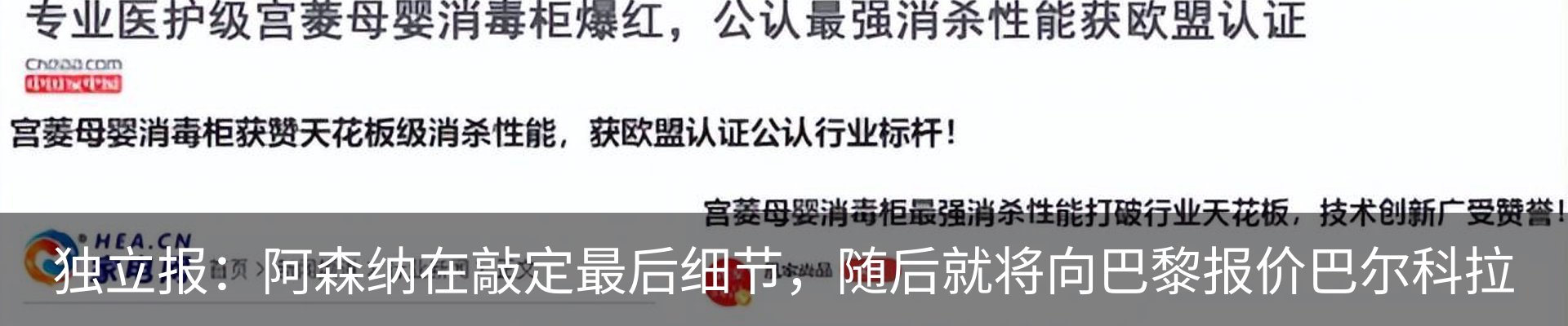 新闻动态