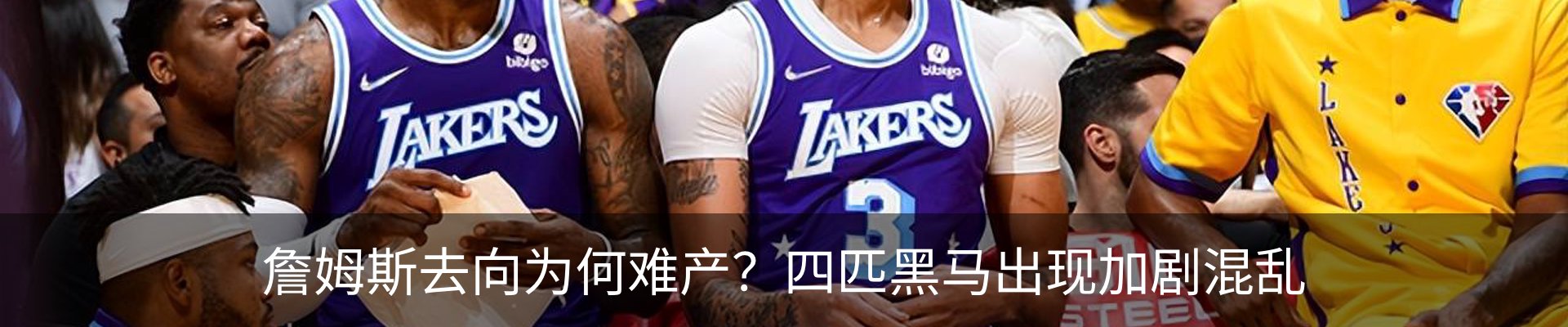 新闻动态