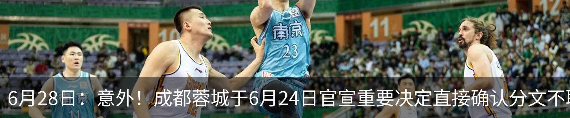 新闻动态
