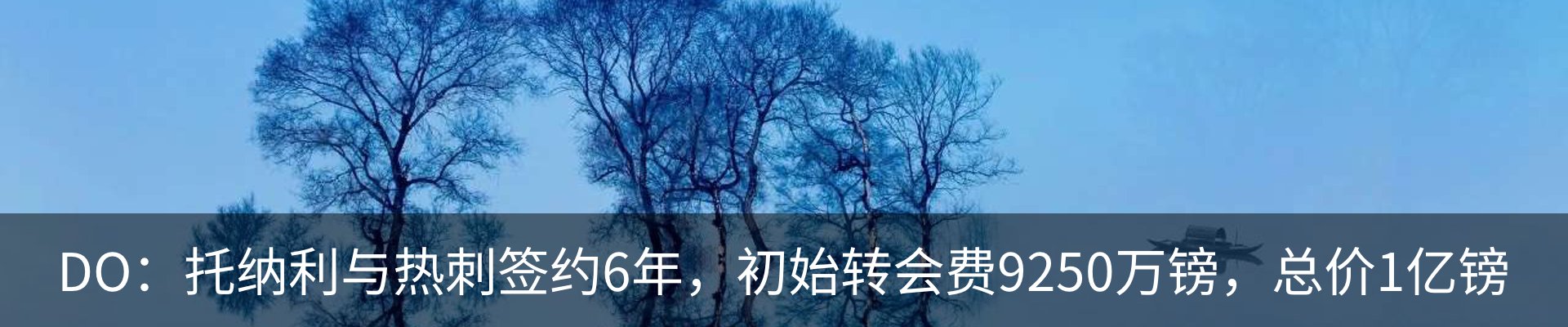 新闻动态